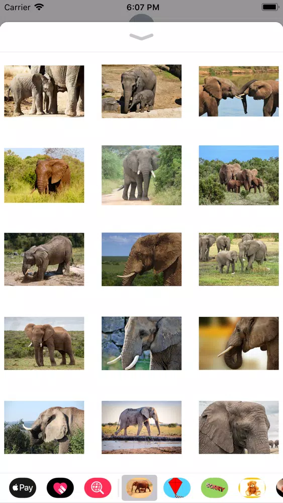 Capturas de tela do My Elephant Sticker Pack