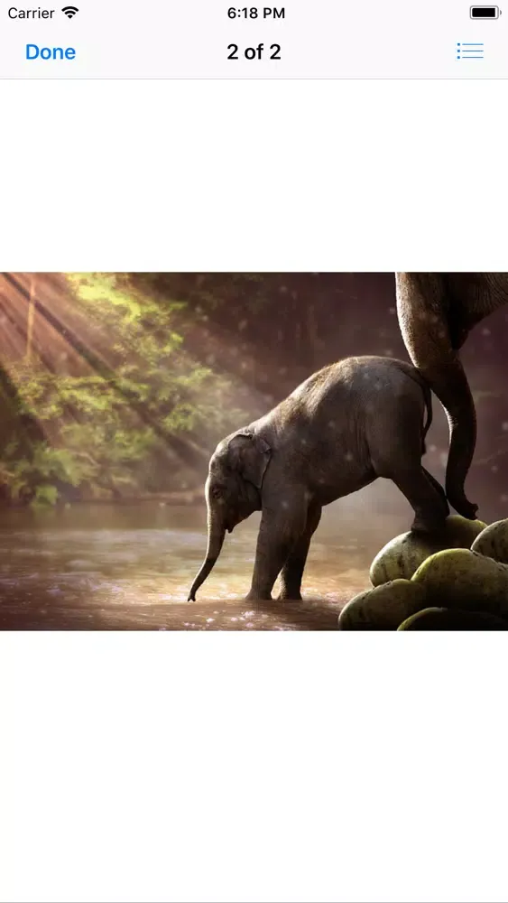 Capturas de pantalla de My Elephant Sticker Pack