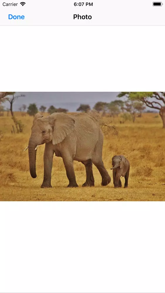 Capturas de tela do My Elephant Sticker Pack