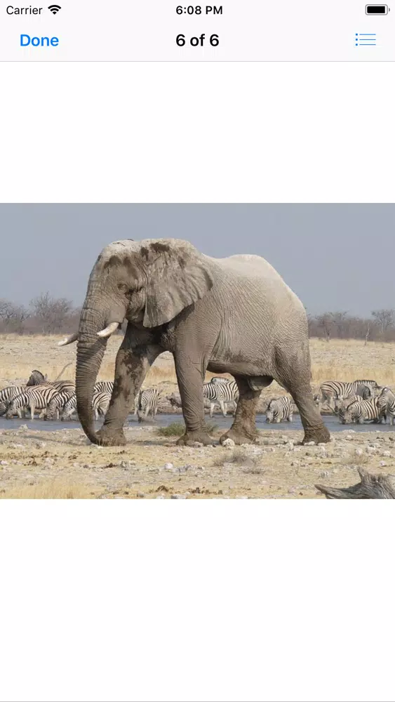 Capturas de tela do My Elephant Sticker Pack