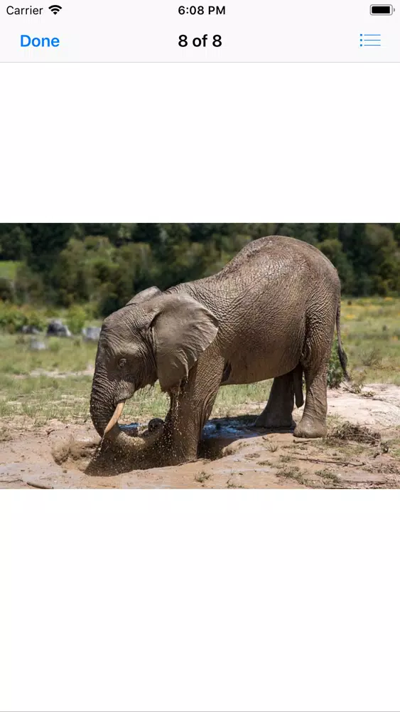 Capturas de tela do My Elephant Sticker Pack