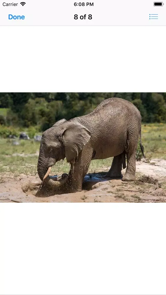 Capturas de pantalla de My Elephant Sticker Pack