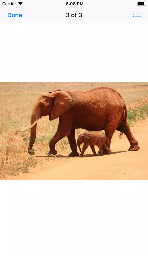 Capturas de tela do My Elephant Sticker Pack