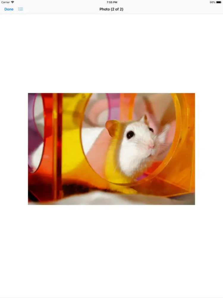 Capturas de pantalla de Hamster Sticker Pack iPad 