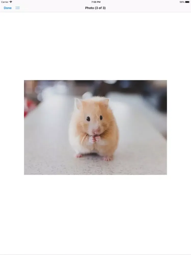 Capturas de pantalla de Hamster Sticker Pack iPad 