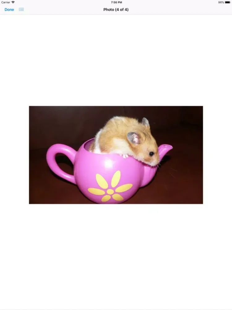 Capturas de pantalla de Hamster Sticker Pack iPad 