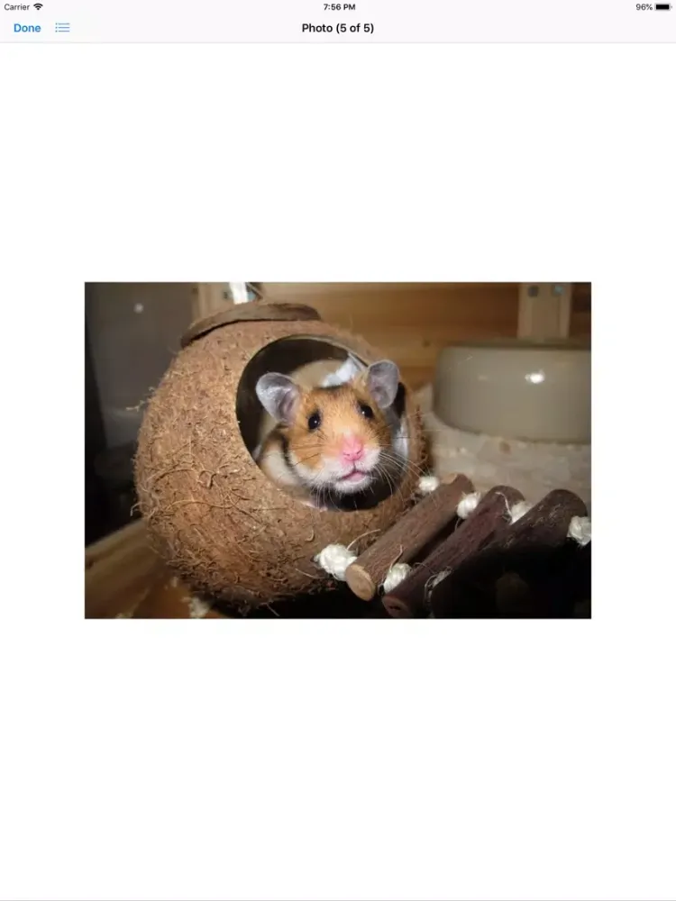 Capturas de pantalla de Hamster Sticker Pack iPad 