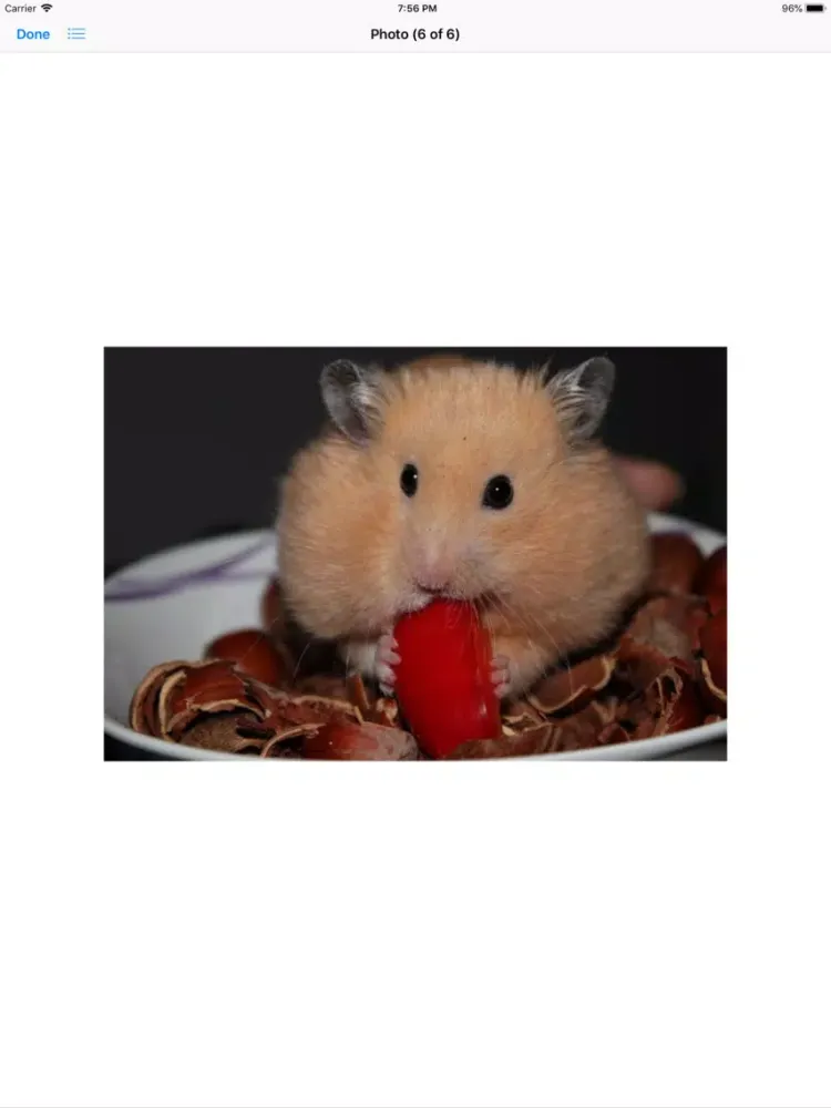 Capturas de pantalla de Hamster Sticker Pack iPad 