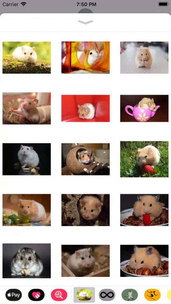 Capturas de pantalla de Hamster Sticker Pack