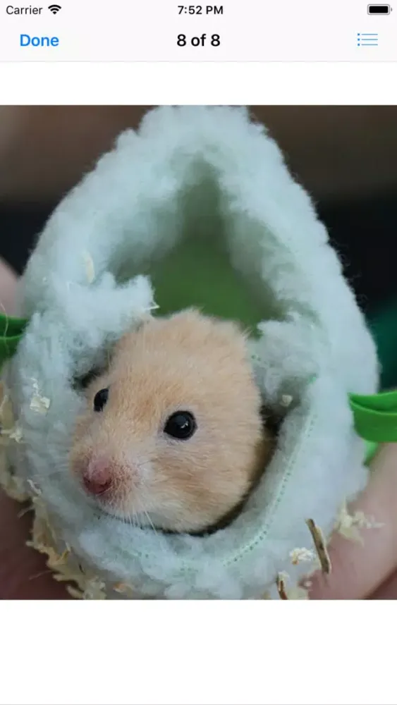 Capturas de pantalla de Hamster Sticker Pack
