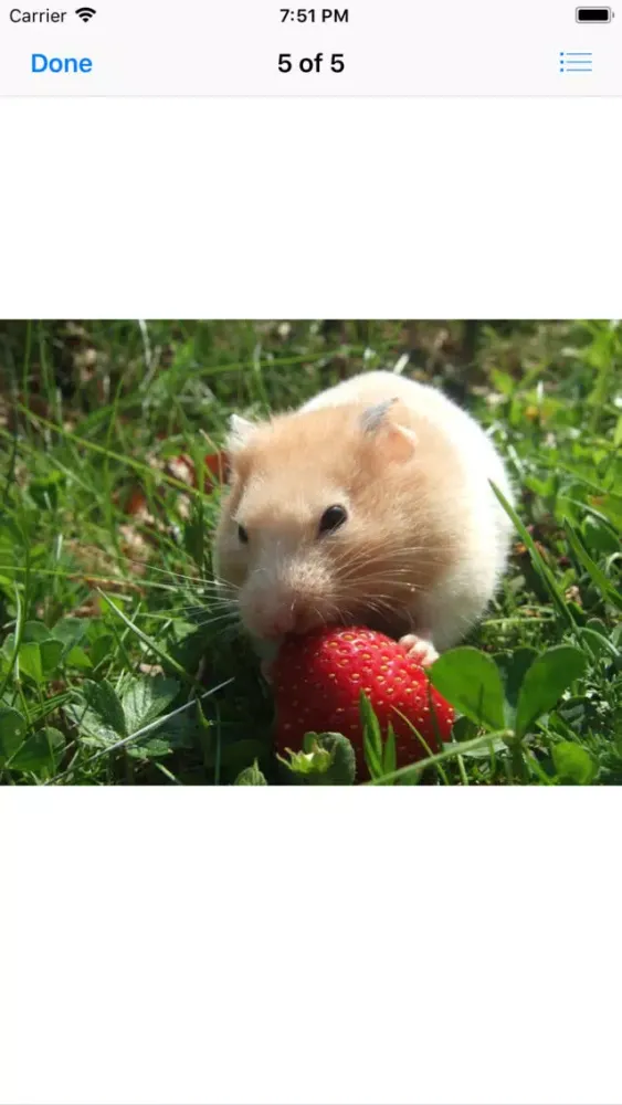 Capturas de pantalla de Hamster Sticker Pack