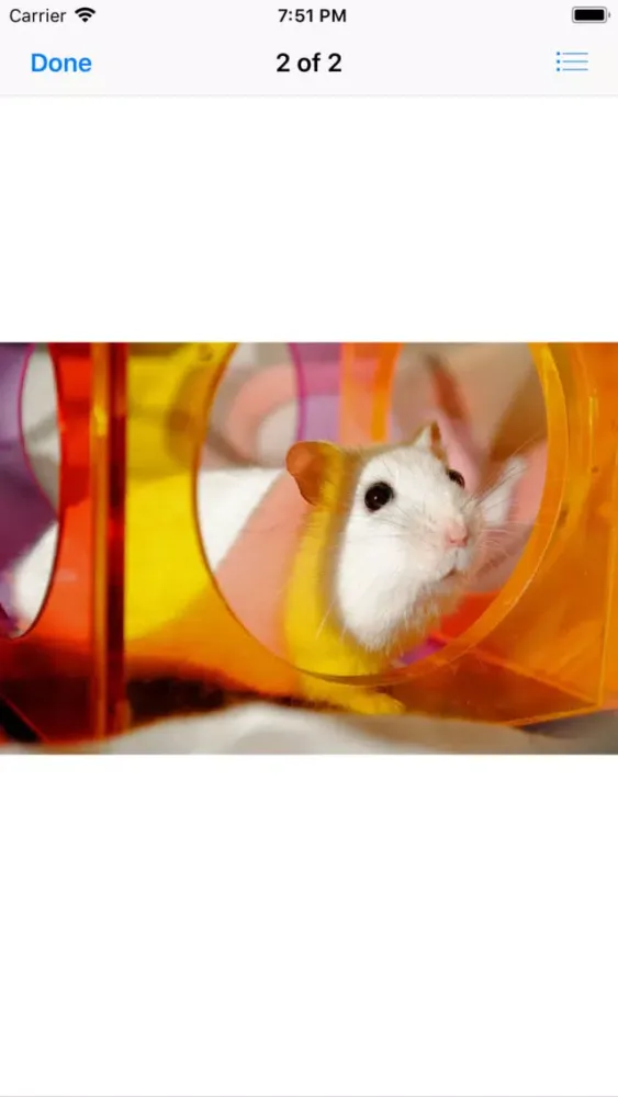 Capturas de pantalla de Hamster Sticker Pack