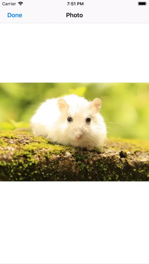 Capturas de pantalla de Hamster Sticker Pack