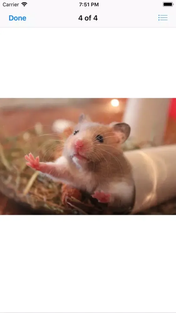 Capturas de pantalla de Hamster Sticker Pack