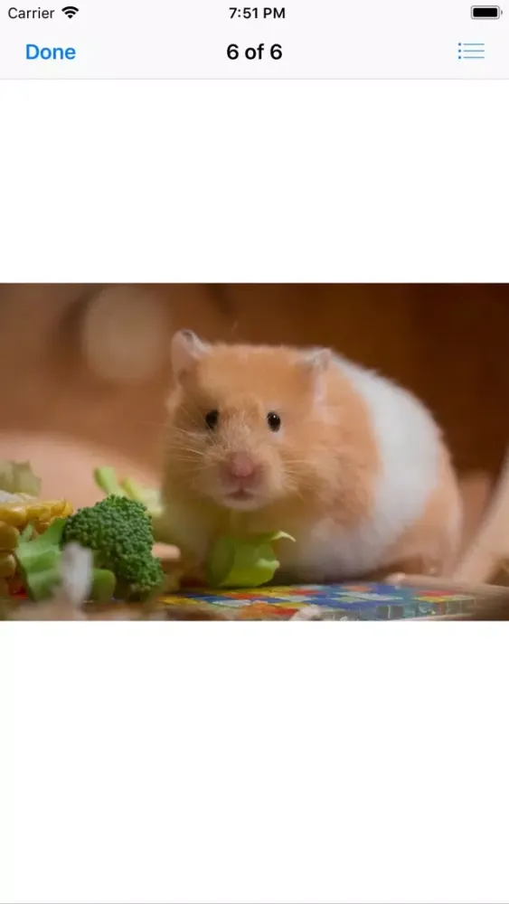 Capturas de pantalla de Hamster Sticker Pack
