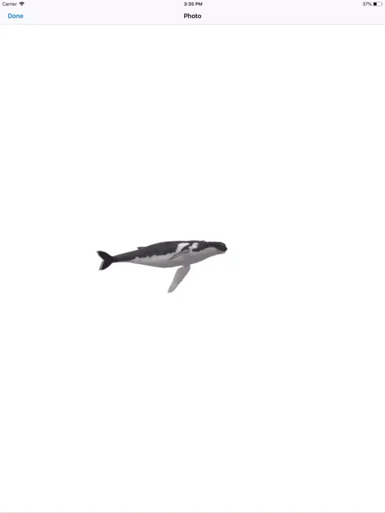Tangkapan layar Humpback Whale Stickers iPad 
