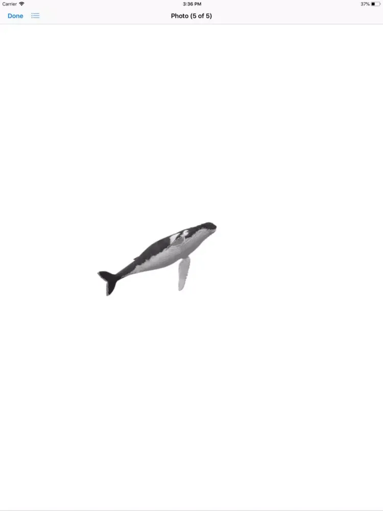 Tangkapan layar Humpback Whale Stickers iPad 