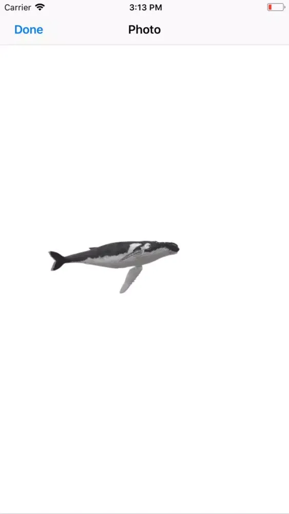 Tangkapan layar Humpback Whale Stickers