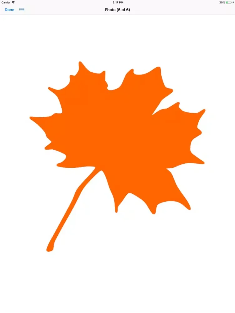 Maple Leaf Stickers iPad 应用截图