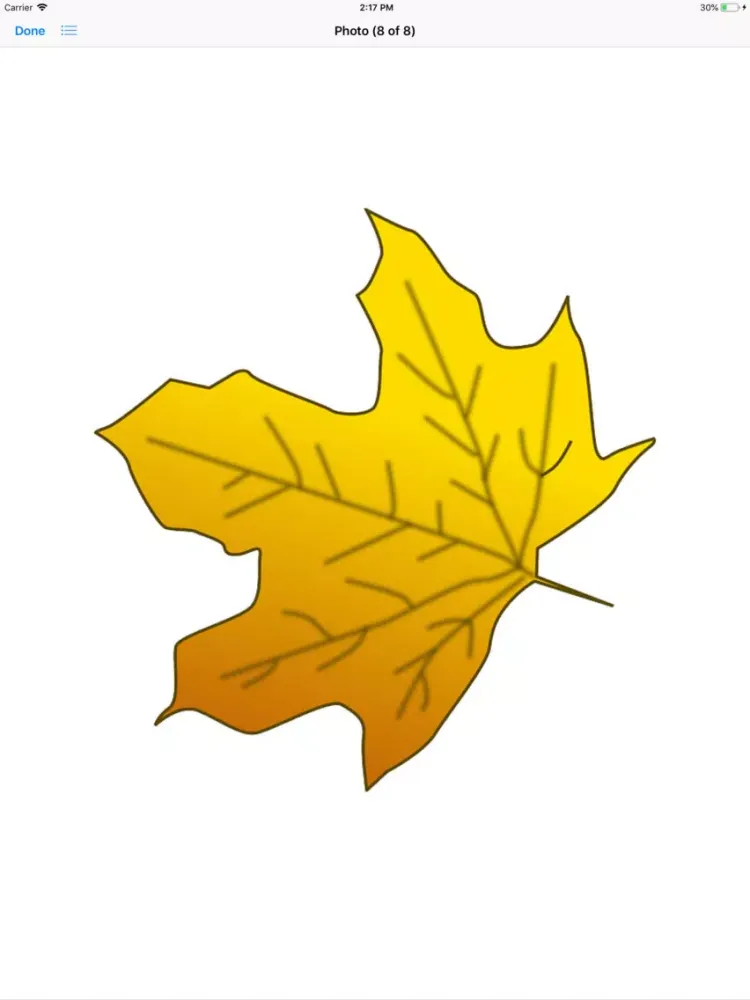 Maple Leaf Stickers iPad 应用截图