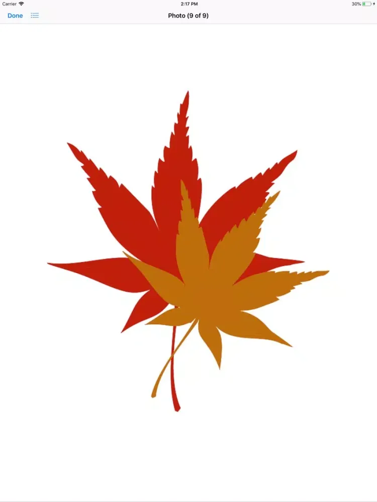 Maple Leaf Stickers iPad 应用截图