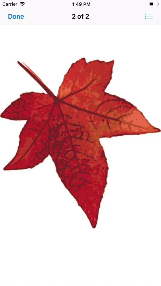 Maple Leaf Stickers应用截图