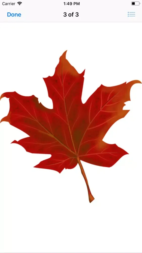 Maple Leaf Stickers应用截图