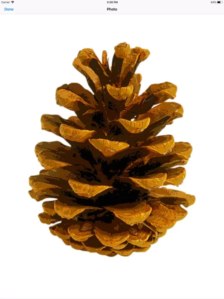 Captures d'écran de Pine Cone Stickers iPad 