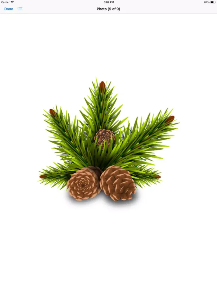 Captures d'écran de Pine Cone Stickers iPad 