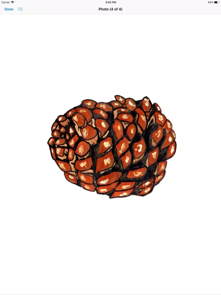 Captures d'écran de Pine Cone Stickers iPad 