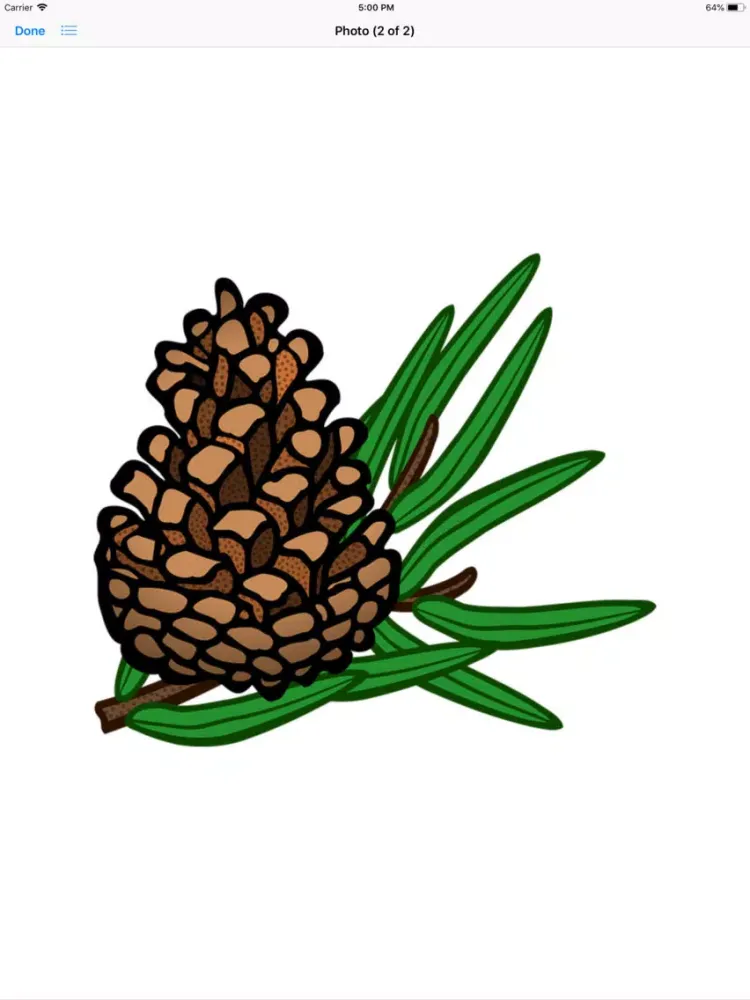 Captures d'écran de Pine Cone Stickers iPad 
