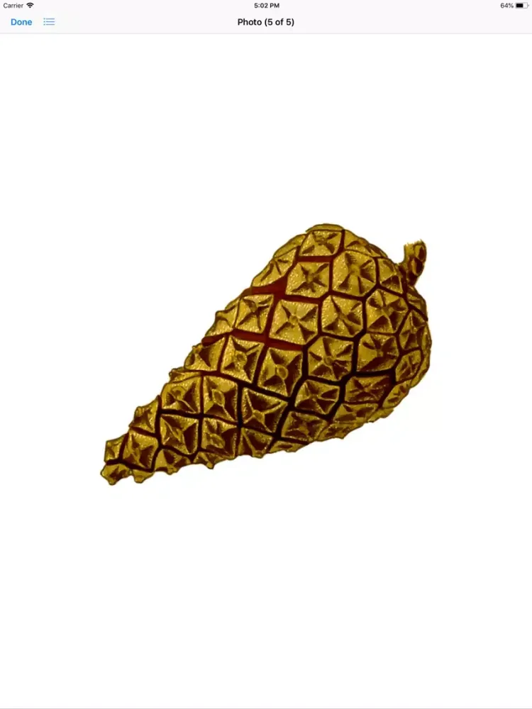 Captures d'écran de Pine Cone Stickers iPad 
