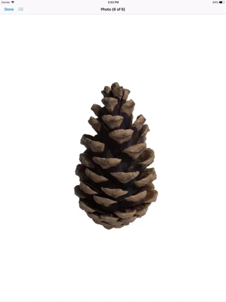 Captures d'écran de Pine Cone Stickers iPad 