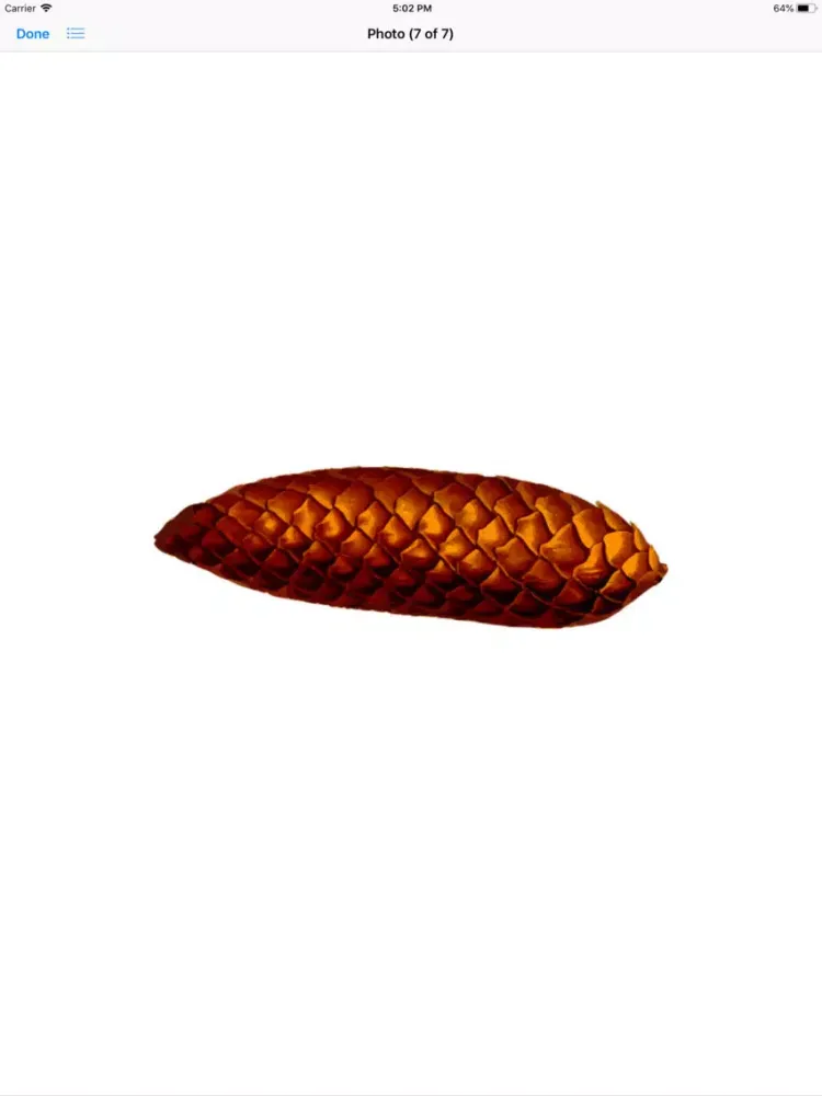 Captures d'écran de Pine Cone Stickers iPad 