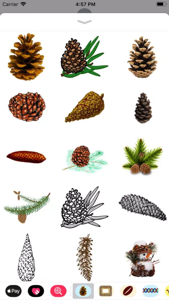 Captures d'écran de Pine Cone Stickers
