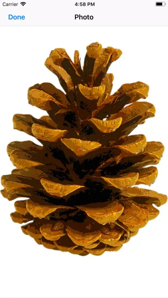 Captures d'écran de Pine Cone Stickers