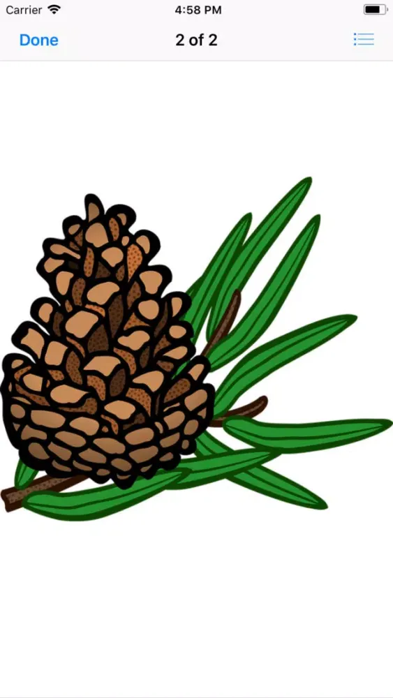 Captures d'écran de Pine Cone Stickers