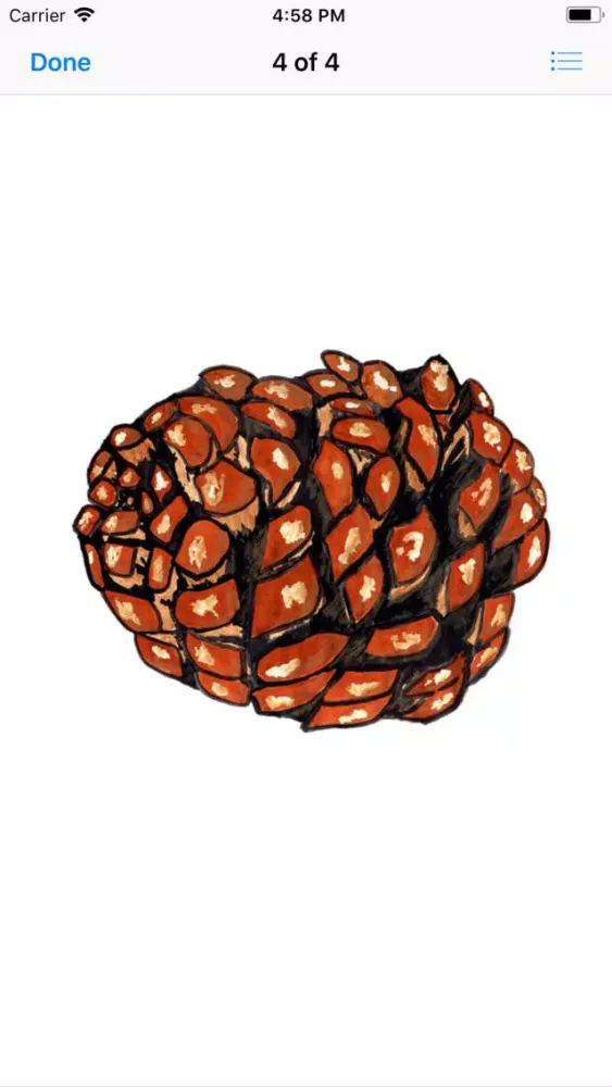 Captures d'écran de Pine Cone Stickers