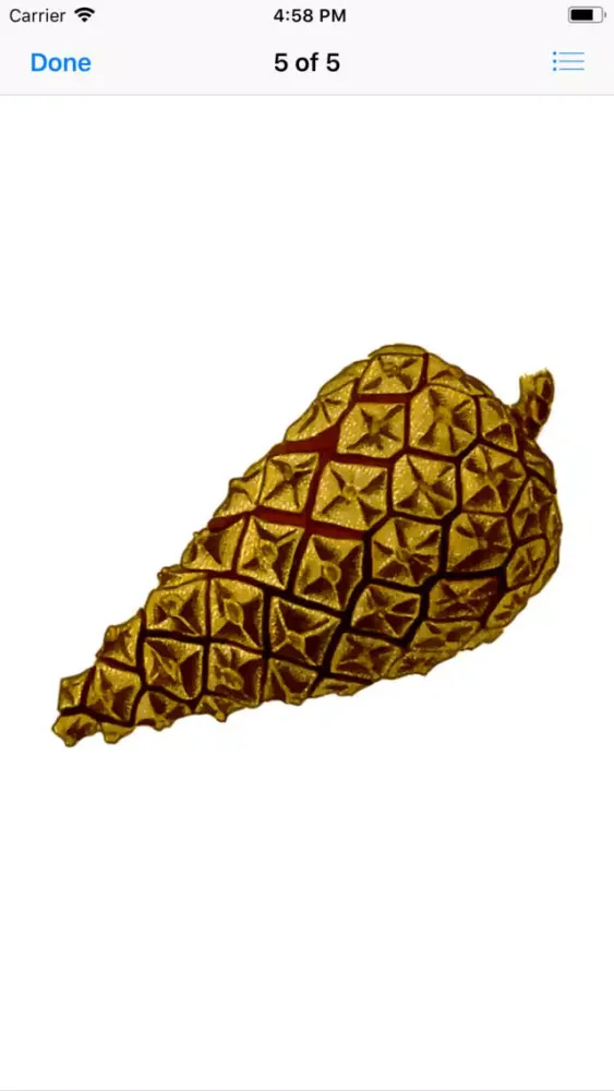 Captures d'écran de Pine Cone Stickers