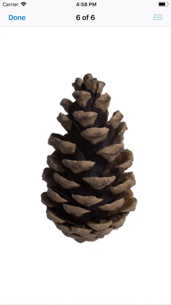 Captures d'écran de Pine Cone Stickers
