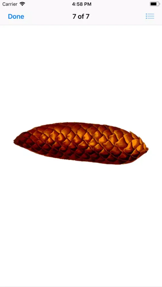 Captures d'écran de Pine Cone Stickers