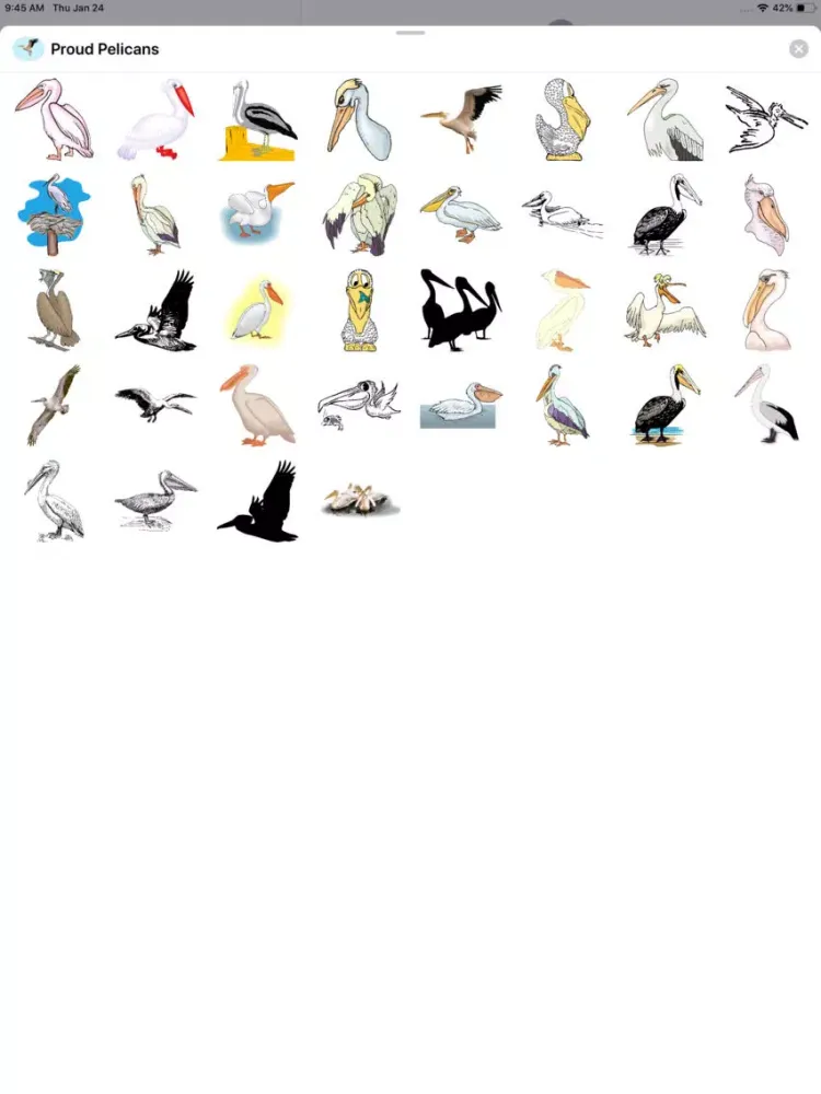 تصاویر Proud Pelicans iPad 