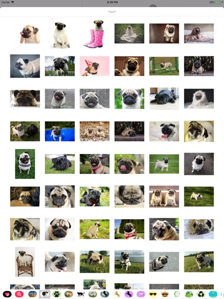 Скриншоты Pug Sticker Pack iPad 