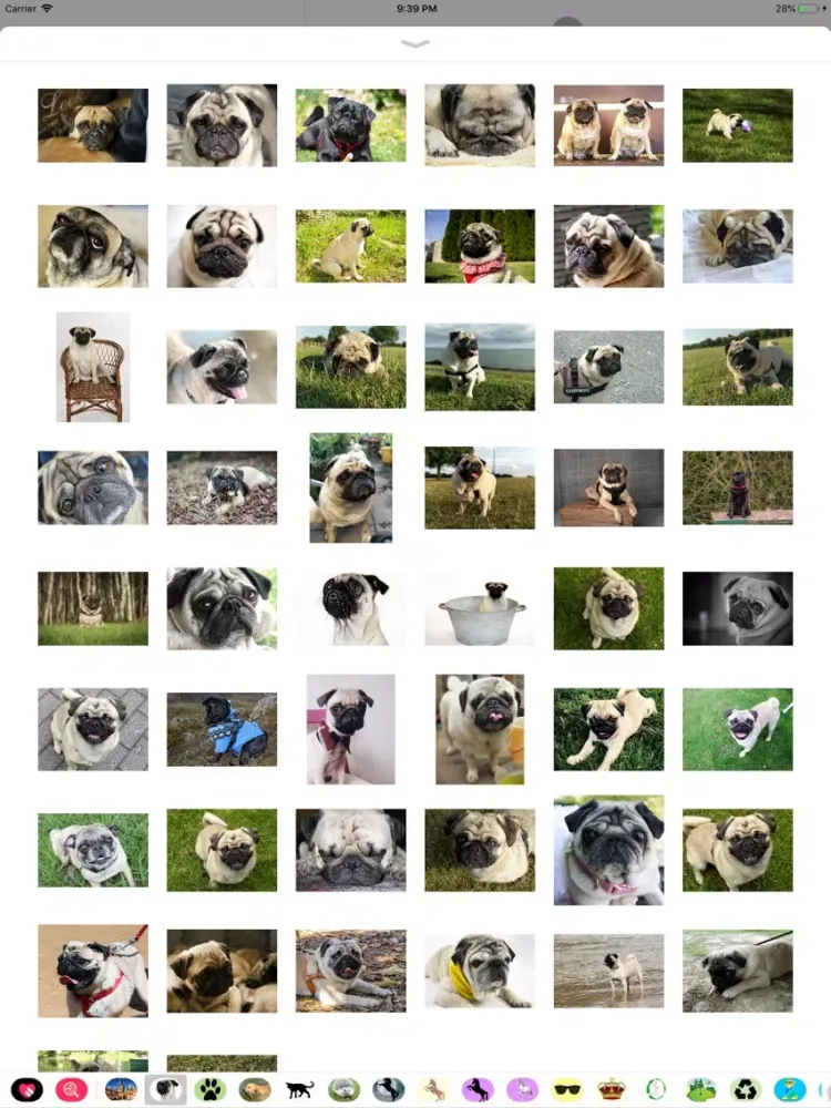 Скриншоты Pug Sticker Pack iPad 