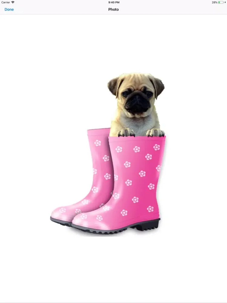 Скриншоты Pug Sticker Pack iPad 