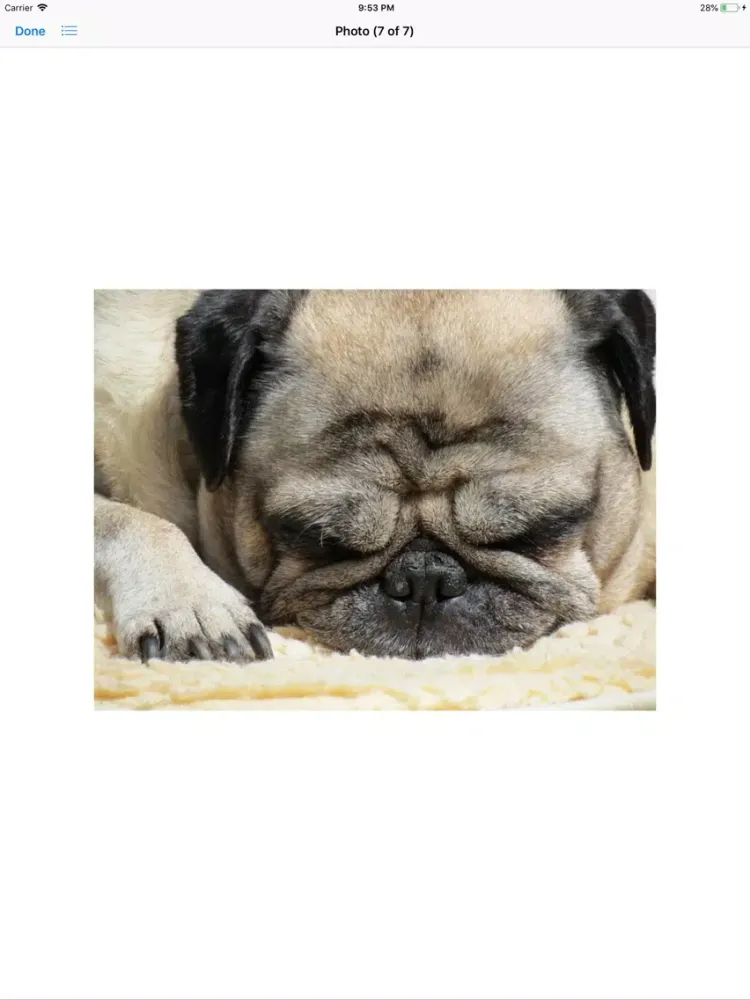 Скриншоты Pug Sticker Pack iPad 