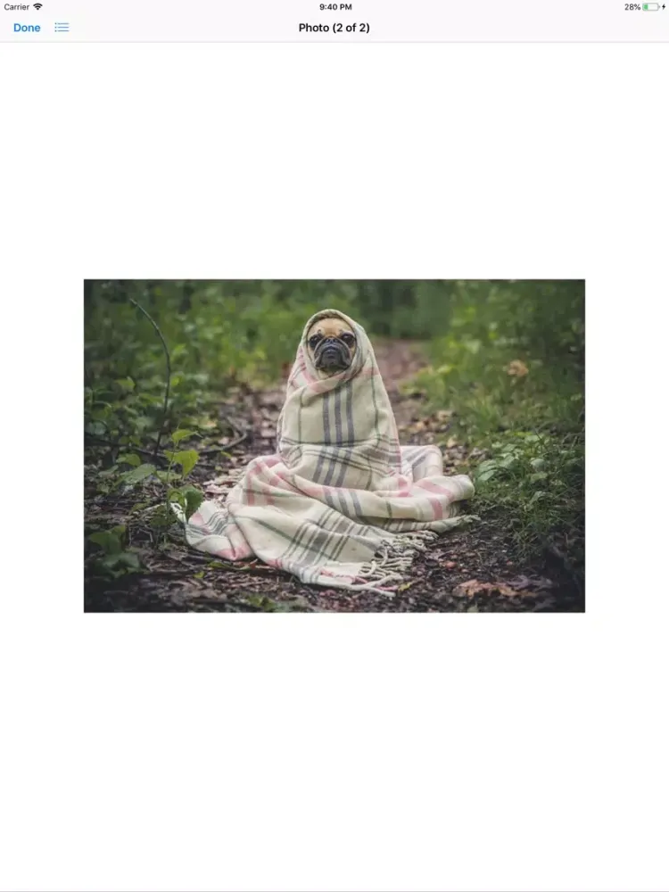 Скриншоты Pug Sticker Pack iPad 