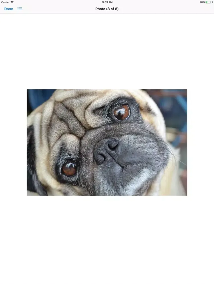 Скриншоты Pug Sticker Pack iPad 