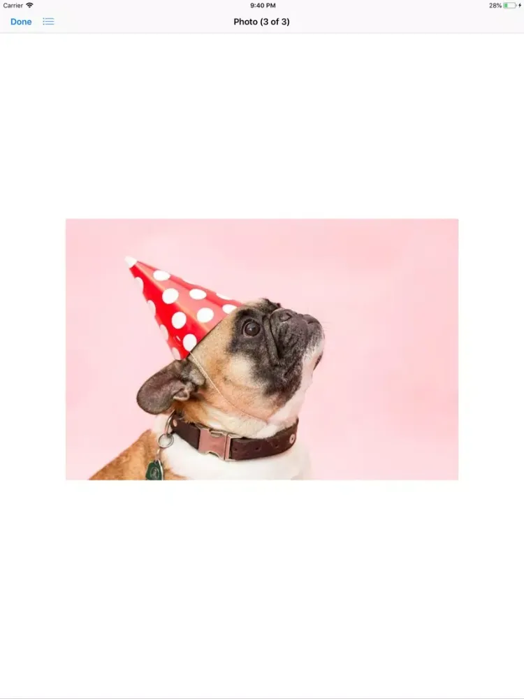 Скриншоты Pug Sticker Pack iPad 
