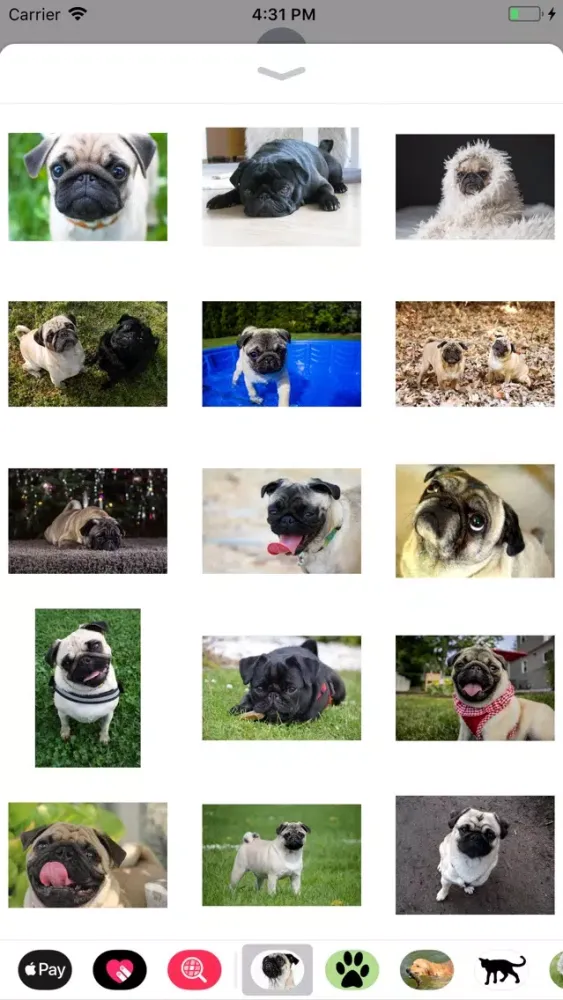 Скриншоты Pug Sticker Pack